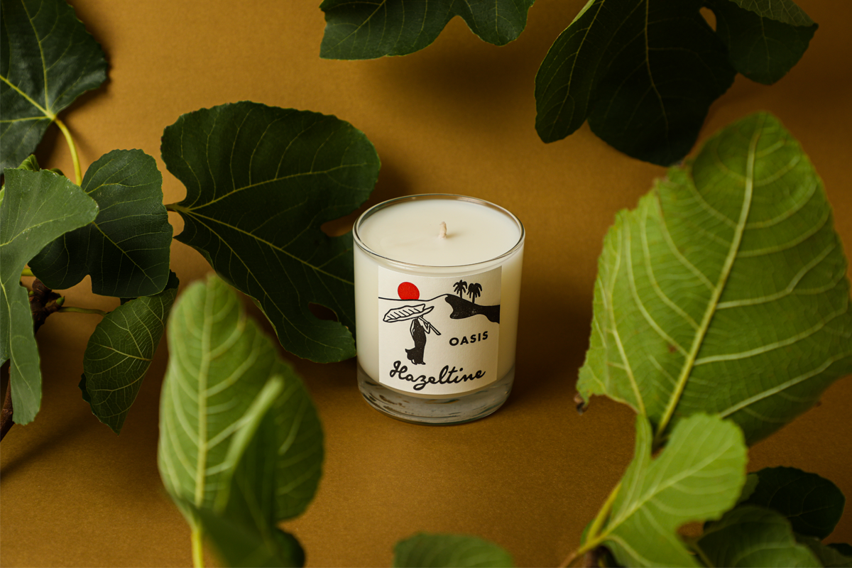 Hazeltine Oasis candle surrounded by large green leaves on a warm-toned background.